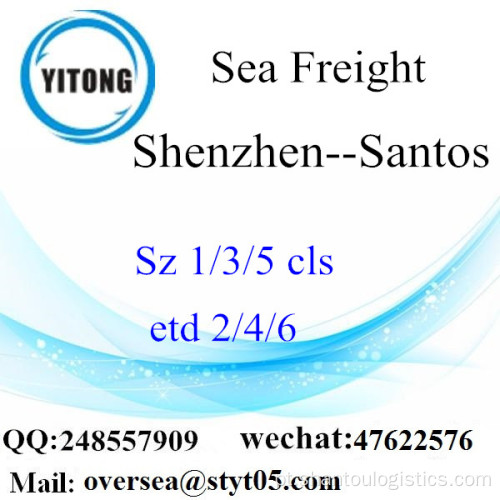 Shenzhen Port LCL Consolidação para Santos